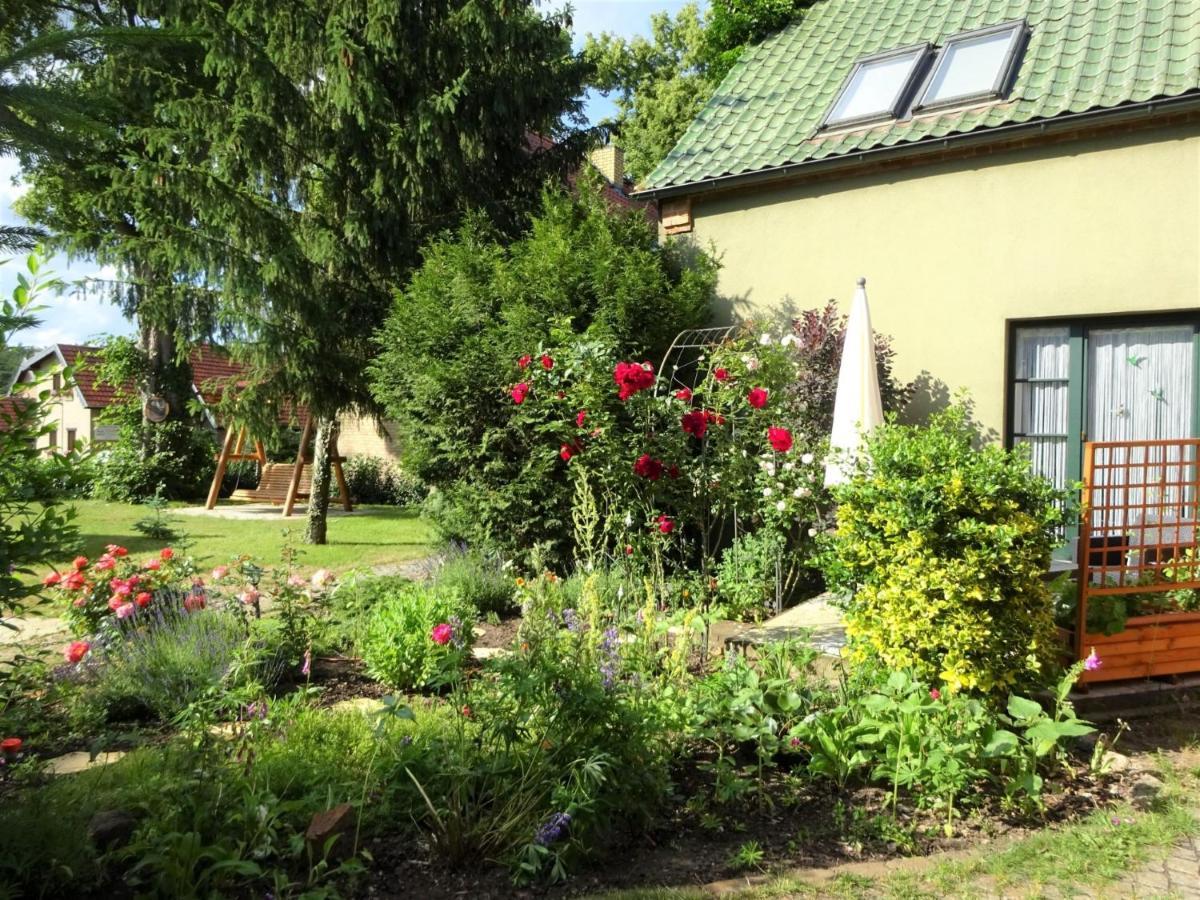 Ferienanlage Waschbaer Country Templin Extérieur photo